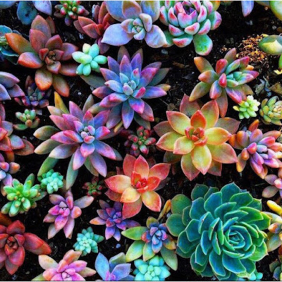 Meet your Posher, Kate - Picture 1 of 1